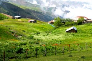 Talesh