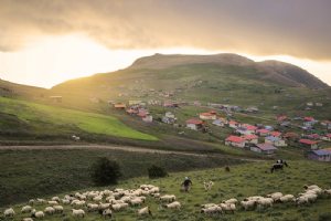 Talesh