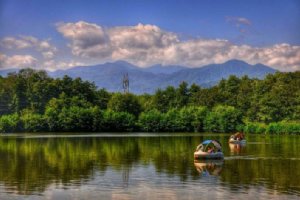 Talesh