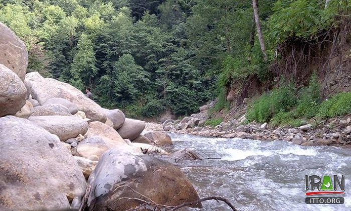 Shafa Rud (Shafarood River)