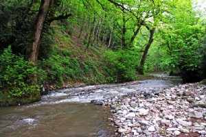 Shafa Rud (Shafarood River)