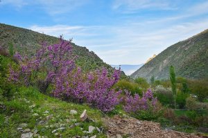 Zanjan Nature