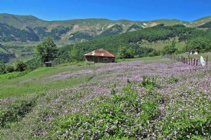 Zanjan Nature