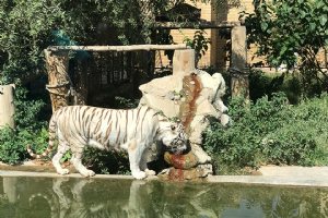 Tehran Zoological Garden