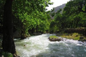 Bagh-e Malek