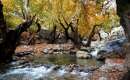 Maal-e Agha Village - Bagh-e Malek (Thumbnail)