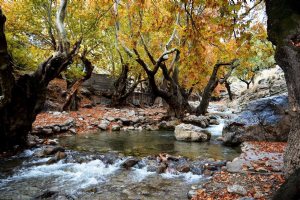 Maal-e Agha Village - Bagh-e Malek