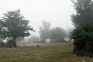 Harzevil Village near Manjil