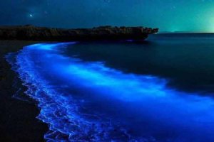 Hormoz Island - Persian Gulf - Hormozgan