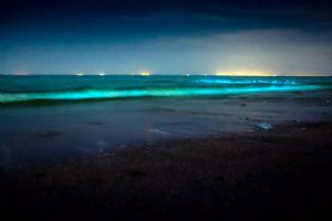 Hormoz Island - Hormozgan Province