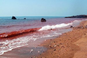 Hormoz Island - Hormozgan Province
