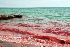 Silver and Red Beach of Hormuz