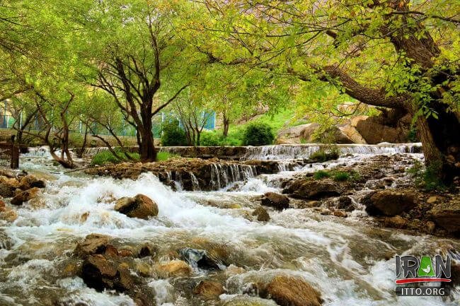 Nahavand Nature,Saraab-e Gyan,Nahavand Giyan Mirage,جنگل نهاوند,جنگلهای نهاوند,سراب گیان,سراب کیان,srabe gian,sarabe gyan,srabe giyan
