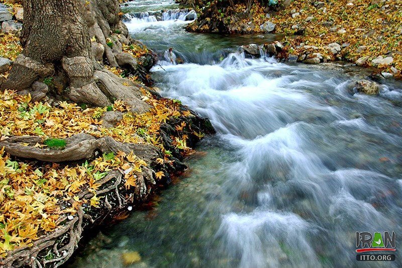 Nahavand Nature,Saraab-e Gyan,Nahavand Giyan Mirage,جنگل نهاوند,جنگلهای نهاوند,سراب گیان,سراب کیان,srabe gian,sarabe gyan,srabe giyan