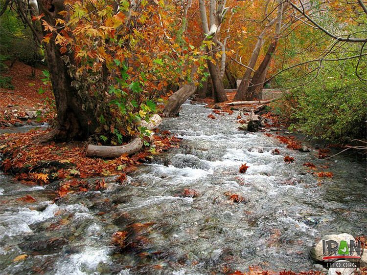Nahavand Nature,Saraab-e Gyan,Nahavand Giyan Mirage,جنگل نهاوند,جنگلهای نهاوند,سراب گیان,سراب کیان,srabe gian,sarabe gyan,srabe giyan