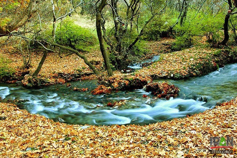 Nahavand Nature,Saraab-e Gyan,Nahavand Giyan Mirage,جنگل نهاوند,جنگلهای نهاوند,سراب گیان,سراب کیان,srabe gian,sarabe gyan,srabe giyan