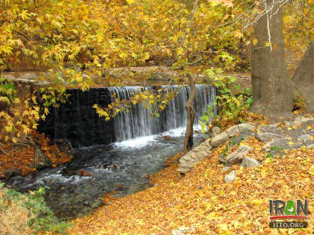 Nahavand Nature,Saraab-e Gyan,Nahavand Giyan Mirage,جنگل نهاوند,جنگلهای نهاوند,سراب گیان,سراب کیان,srabe gian,sarabe gyan,srabe giyan