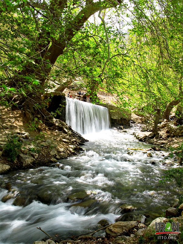 Nahavand Nature,Saraab-e Gyan,Nahavand Giyan Mirage,جنگل نهاوند,جنگلهای نهاوند,سراب گیان,سراب کیان,srabe gian,sarabe gyan,srabe giyan