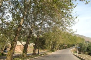 Harzevil Village near Manjil