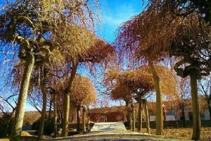 Isfahan Gardens
