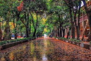Chahar baagh - Isfahan Gardens