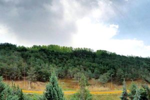 Lavizan Forest Park - Tehran