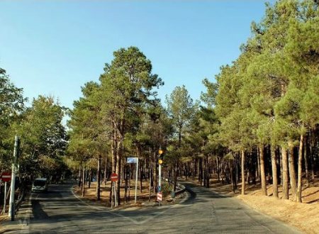 Lavizan Forest Park - Tehran