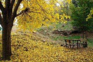Lavizan Forest Park - Tehran