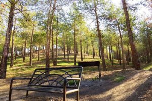 Lavizan Forest Park - Tehran