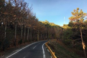 Lavizan Forest Park (Shian) - Tehran