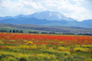 Sahand Mountain - East Azerbaijan Province