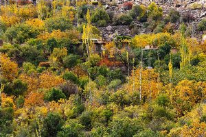 Manshad Village - Yazd Province