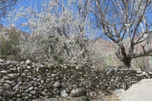 Manshad Village - Yazd Province