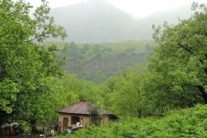 Chalus Forests - Borth of Iran