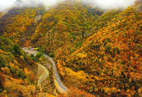 Chalus Forests in Chaloos