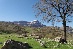 Parizkooh Mountain