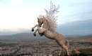 Dorud - Lorestan (Thumbnail)
