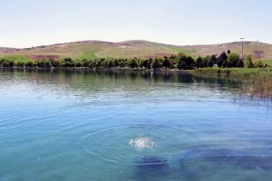 Sarab Niloofar - near Kermanshah