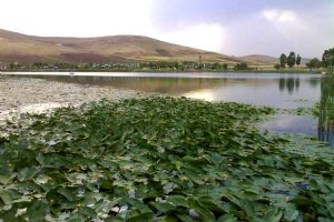 Sarab Niloofar - near Kermanshah