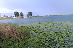 Sarab Niloofar - near Kermanshah