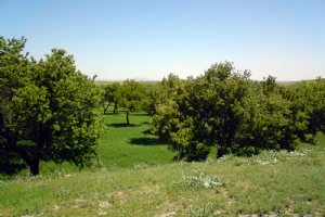 SIS Village - Shabestar