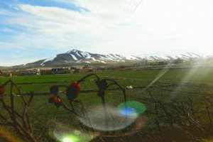 SIS Village - Shabestar
