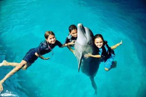 Kish Dolphin Park - Kish Island