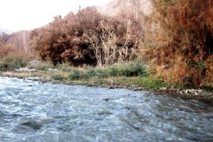 Sirch Village - KErman Province