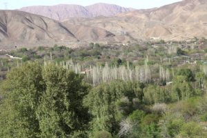 Sirch Village - KErman Province