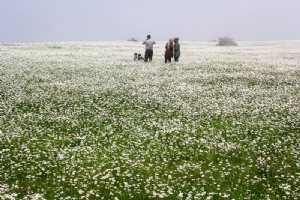 Fandoqlu Forest - Ardebil Province