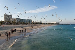 Kish Island - Persian Gulf