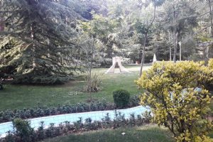 Iranian Art Museum Garden - Tehran