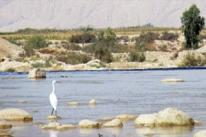 Fahliyan River