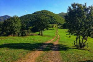 Sain Qaleh Hills